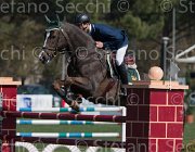 Garofalo A Quidich TosTour2013- S5 2283 : Arezzo, Arezzo Equestrian Centre, Garofalo Antonio, Quidich de la Chavee, Toscana Tour 2013, foto di Stefano Secchi ©